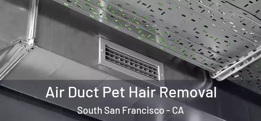 Air Duct Pet Hair Removal South San Francisco - CA