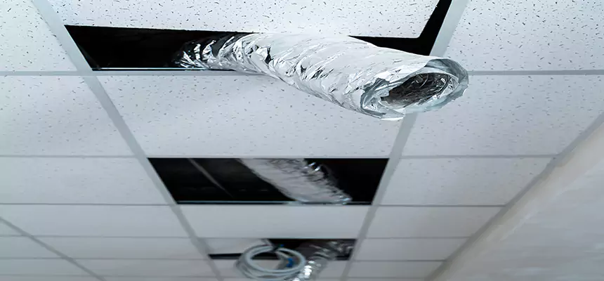 Affordable HVAC Sanitizing After Pest Removal in South San Francisco