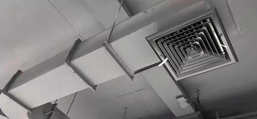 Restorative Allergy Relief Vent Cleaning – Coil, Blower & Housing Detail in South San Francisco