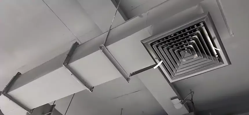 Our Pest Removal From Ducts Services in South San Francisco, CA