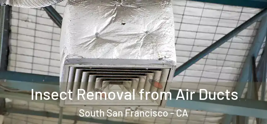 Insect Removal from Air Ducts South San Francisco - CA