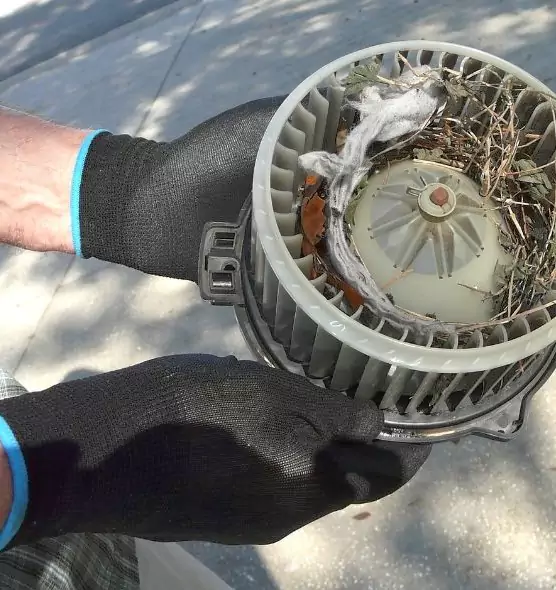 About Air Duct Rat Removal in South San Francisco, CA