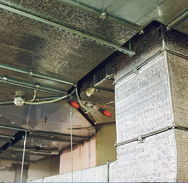 Why Homeowners & Businesses Trust Us in South San Francisco, CA?