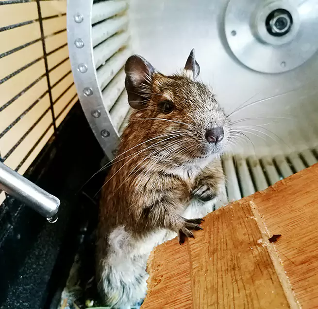 Why Homeowners & Businesses Trust Us South San Francisco, CA