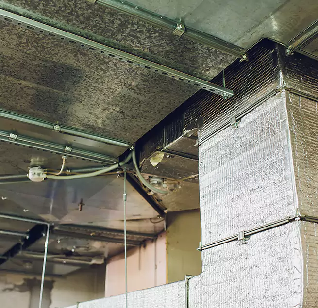 Why Homeowners & Businesses Trust Us in South San Francisco, CA?